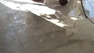 کفسابی در یافت آباد