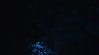 شبنم قرار بود پیشمون بمونی ... ولی منو با اشکام تنها گذاشتیییییی