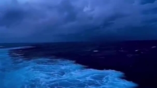 پارت هشتم رمان THE EDICTION(اعتیاد)دوستان چون نما از یه حدی بیشتر اجازه نمیده بزارم ادامه پارت ۸ رو در ویدیو دیگه قرار دادم