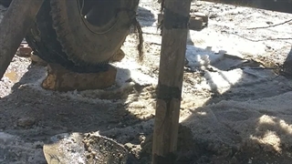 SPT3