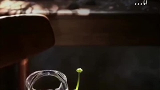 ایرانیم و نوروز هویت من است اما علی...