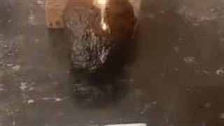 سنگ میخ ذوب کن فاقد ارزش و اعتبار