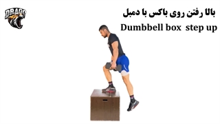 حرکت بالارفتن روی باکس با دمبل [آموزش کامل گام به گام]