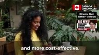 بهترین بانک های کانادا برای ایرانیان