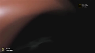 فولکس واگن : میراث یک دیکتاتور