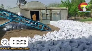 خاک آماده کشت قارچ از گلخانه آریانا