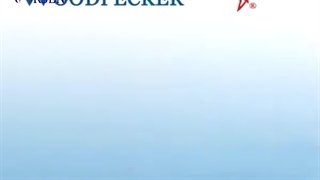 پیزوسرجری وودپیکر Woodpecker مدل US-II LED