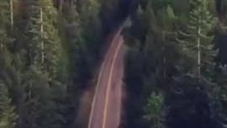 بسم الله الرحمن الرحیم  یادتون نره