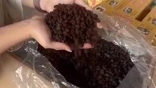 کشمش طاهرخانی در تاکستان قزوین لیزر صورت