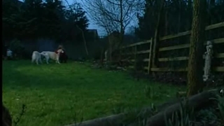 Essential Guide to Massage Techniques - Chapter04 - What is Swedish Massage