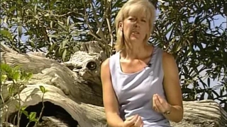 Essential Guide to Massage Techniques - Chapter18 - What is Acupressure