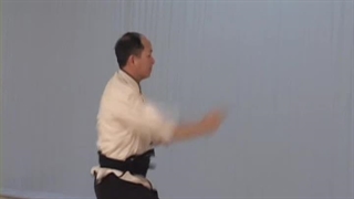 Saber Fundamenta Training Title 26