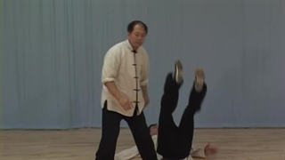 Saber Fundamenta Training Title 49