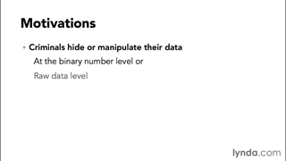 Computer Forensics Essential Training - 02 Preparing for a Computer Forensics Investigation - 05 hexnumbers