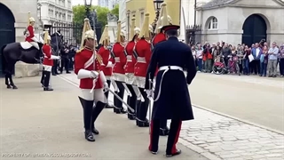 در اینجا این است که چرا شما هرگز با یک سرباز گارد سلطنتی بریتانیا درگیر نمی شوید