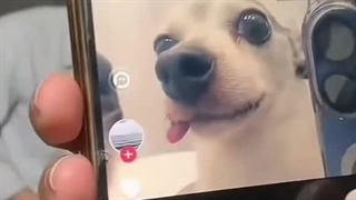 جی جی و یوری  / جواهر بخش ای/ طنز