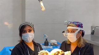 کلینیک تخصصی پوست ، مو و زیبایی سینایار لیزر موهای زائد