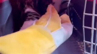 بلند پروازی کنی پرتو قیچی میکنم