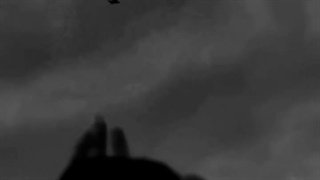 وایب مورد علاقم:)