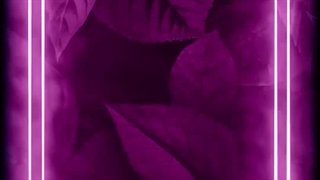 کاشت مو در کلینیک آوینا