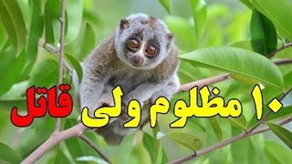 ۱۰ موجود زهردار و قاتل که نمی شناسید