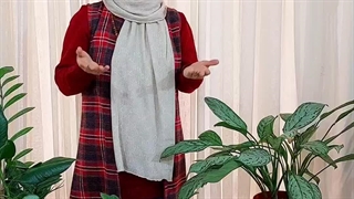 روش نحوه آموزش نکات طلایی نگهداری مراقبت پرورش نوررطوبت دما بهترین خاک کود سم تعویض گلدان انواع آگلونما گل وگیاه آپارتمانی