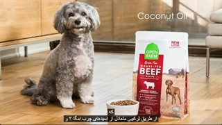 بهترین غذای خشک سگ