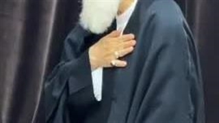 پیاده روی اربعین1404ش آیت الله سید محمد جواد علوی بروجردی