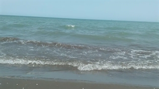 دریالنگرود