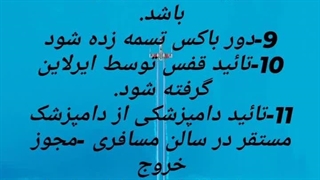 ارسال حیوان زنده - گربه