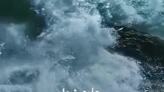 استاد پناهیان: وسط معجزه