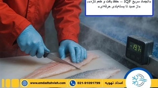 راه‌اندازی و نگهداری سردخانه ماهی و میگو با سریع‌ترین و حرفه‌ای‌ترین