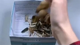 ساخت بشقاب کاغذی مسافرتی