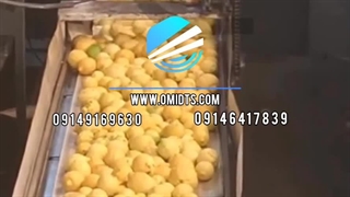 نوار نقاله | کاربرد نوار نقاله در صنایع غذایی 09146417839