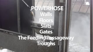 ضدعفونی گاوداری