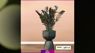 سفارش گیاهان تصفیه‌کننده هوا