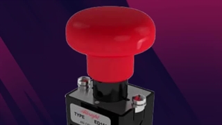 کلید قارچی آلبرایت Albright