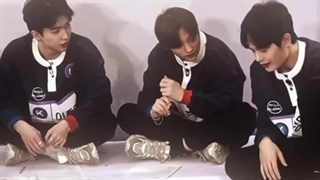 بویز پلنت core