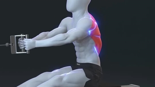 تمرین Cable Row