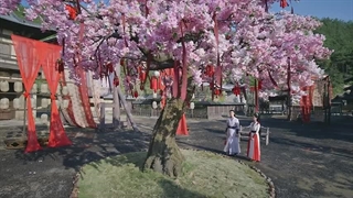 سریال چینی ازدواج ممنوعه A Forbidden Marriage 2025 قسمت 10 زیرنویس چسبیده (کیفیت بالاتر توضیحات)