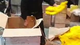 پر فروشی حاج محمود حسینی