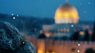 آرامش درونی با موسیقی عبری |  غزه · مطالعه · استراحت