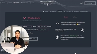 رصد نهنگ های ارز دیجیتال