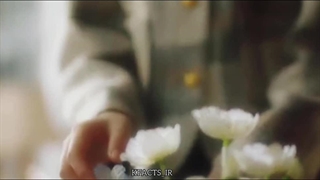 میکس سریال چینی Love Trap