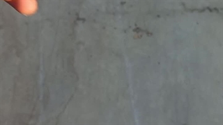 فن سانتریفیوژ مکنده در شیراز کولاک فن 09124598284