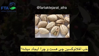 آفلاتوکسین پسته چیست؟