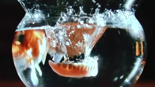 موزیک ویدیو YOUNG & RECKLESS از ONE OR EIGHT زیرنویس چسبیده