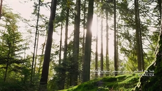 خدا چه کسانی را برای دوستی انتخاب میکند؟ رفاقت با خدا - Refaghat ba khoda