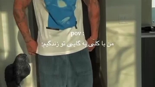 به روایت تصویر