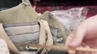 لوازم شخصی شهید دفاع مقدس امیر اسداللهی از قزوین